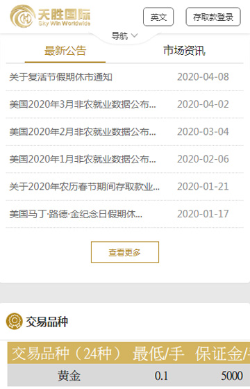 天勝國(guó)際網(wǎng)站案例圖片1